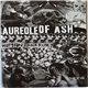 Aureole Of Ash - Human Bankrupcy