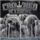 Crowned Kings - Sea Of Misery